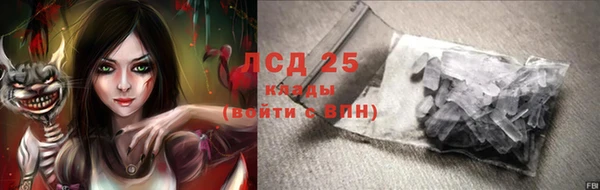 ПСИЛОЦИБИНОВЫЕ ГРИБЫ Лагань