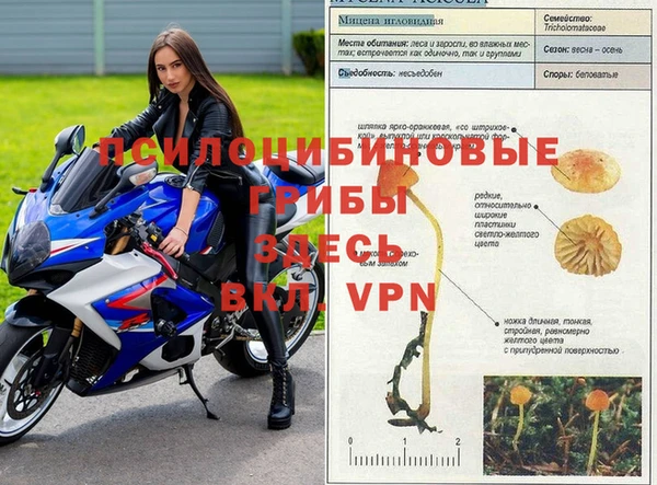 гашиш Ладушкин