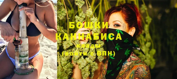 ПСИЛОЦИБИНОВЫЕ ГРИБЫ Лагань
