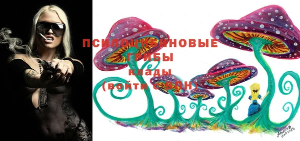 ПСИЛОЦИБИНОВЫЕ ГРИБЫ Лагань