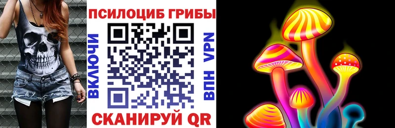 купить наркотики цена Шебекино Галлюциногенные грибы Magic Shrooms