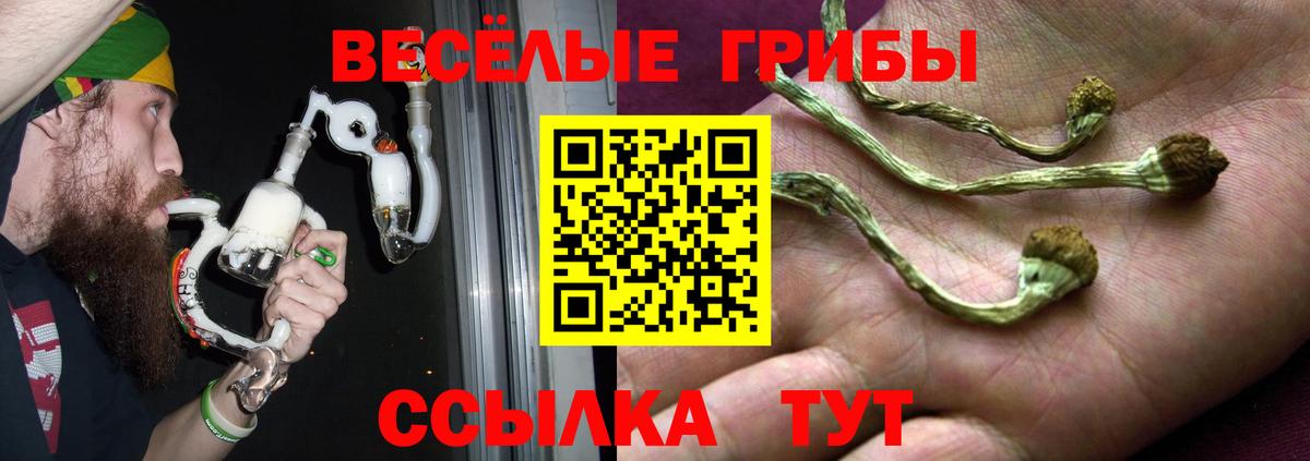 Псилоцибиновые грибы Cubensis  Вход с VPN  Шебекино 