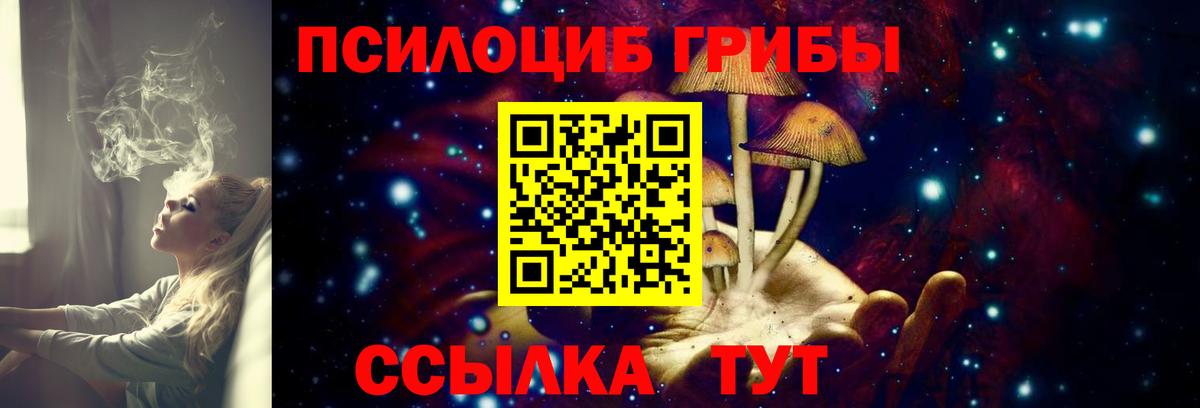 Псилоцибиновые грибы Psilocybine cubensis Шебекино